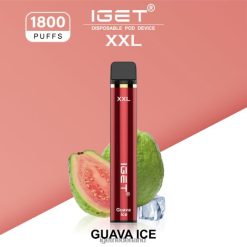 3 x IGET shop shion 46N8T16 guave-ijs