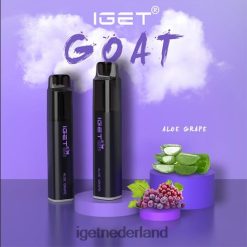 IGET vape Nederland geit - 5000 trekjes 46N8T486 aloë druif