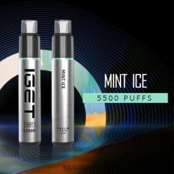 IGET vape Nederland hot - 5500 trekjes 46N8T436 munt ijs