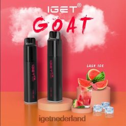 IGET vape shop geit - 5000 trekjes 46N8T447 weelderig ijs