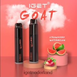 IGET vape shop geit - 5000 trekjes 46N8T607 aardbei watermeloen