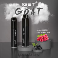 IGET vape shop geit - 5000 trekjes 46N8T637 bramen frambozen ijs