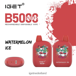 ik heb b5000 46N8T307 watermeloen ijs
