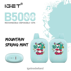 ik heb b5000 46N8T318 berg lente munt