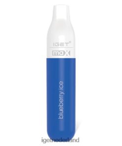 max 46N8T79 bosbessen ijs