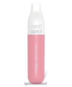 max 46N8T84 mango-guave-ijs