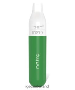 max 46N8T85 munt koning